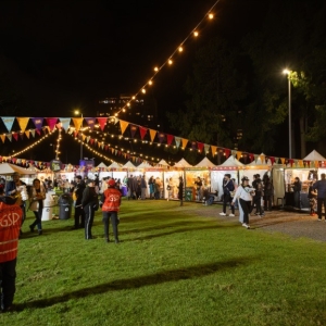 Zona ZAE de emprendimiento en un Festival al Parque 